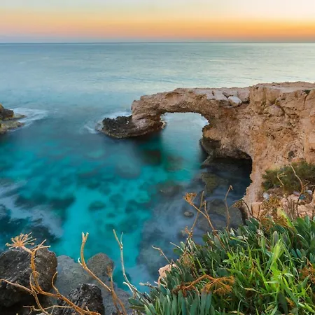 Kalliopi * Paralimni